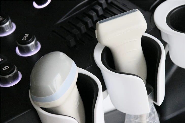 Medical Imaging 4D Doppler Ultrasound