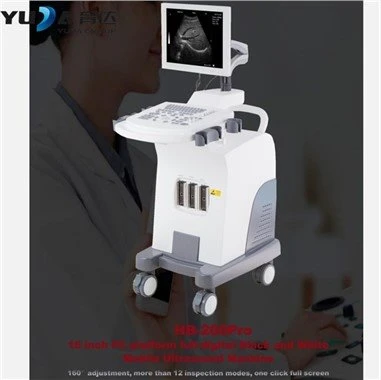 Lékařský černobílý 4D ultrazvuk